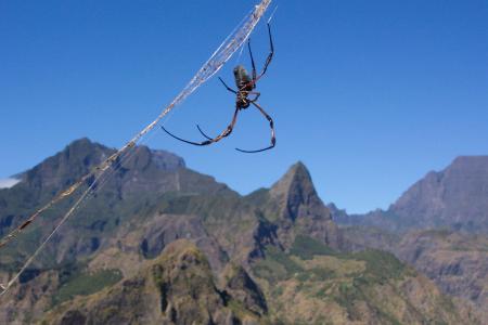 15 juillet  : rando de Suresh au cirque de Mafate