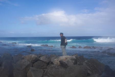 le sud sauvage