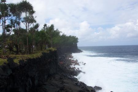 le sud sauvage