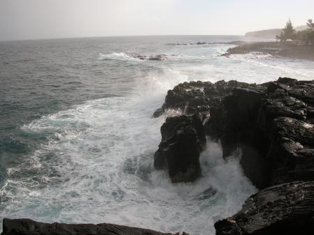 Sud Sauvage