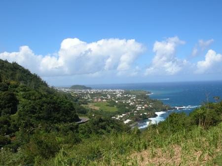 sud sauvage